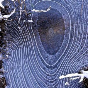 Meet your Posher, Lena